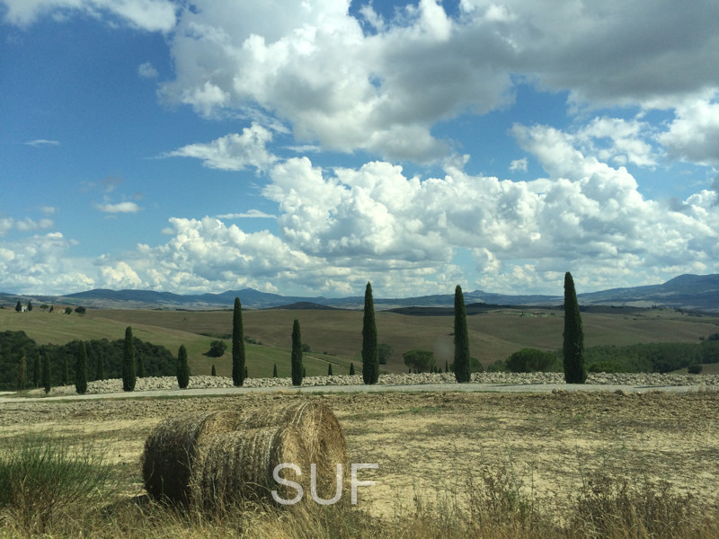 Vlatka Lebinac: Toscana Scenary